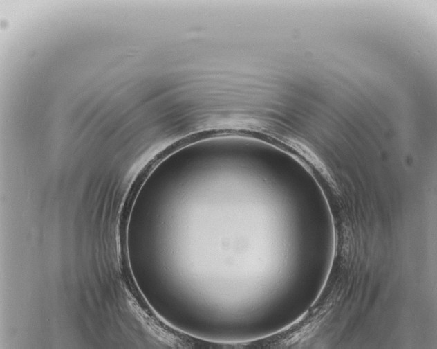 X0000060770980200511171209