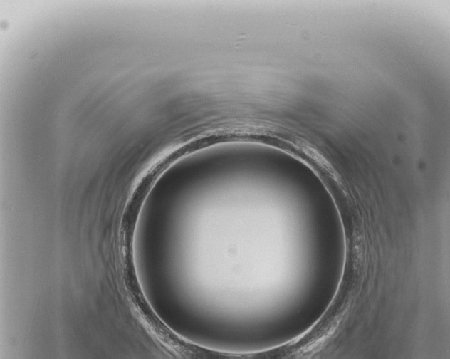 X0000060770981200511171209