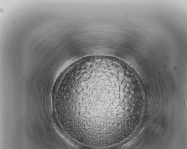 X0000060770982200511171209