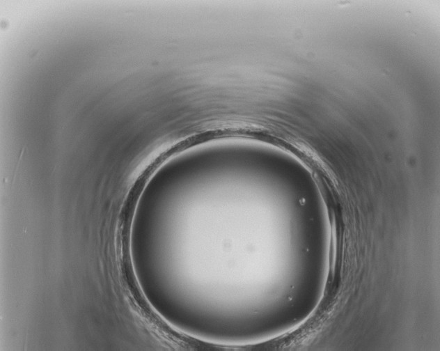 X0000060770983200511171209