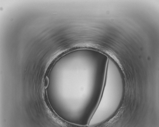 X0000060770984200511171209