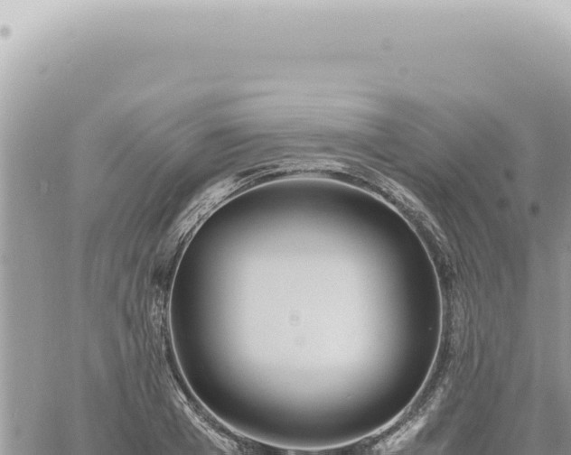 X0000060770985200511171209