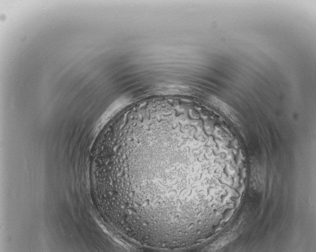 X0000060770986200511171209