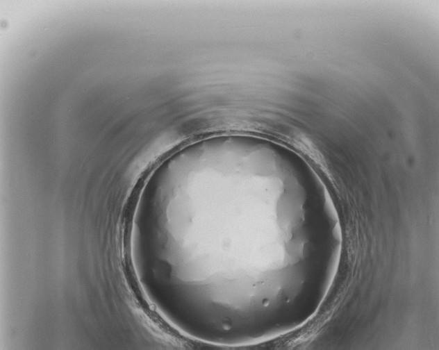 X0000060770987200511171209