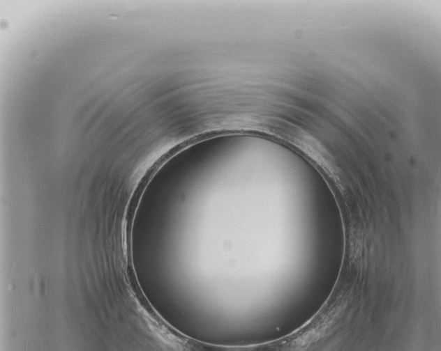 X0000060770988200511171209