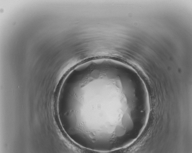 X0000060770991200511171209