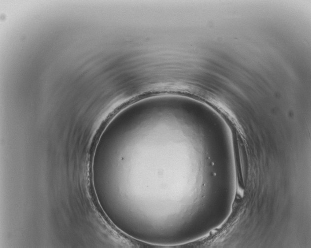 X0000060770992200511171209