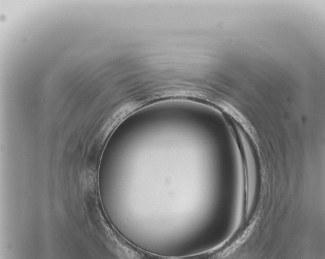 X0000060770993200511171209