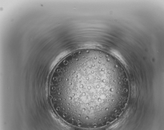 X0000060770994200511171209