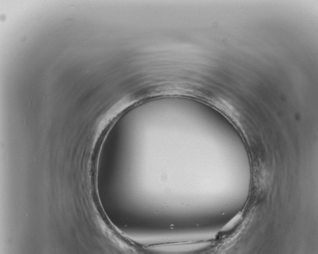 X0000060770995200511171209