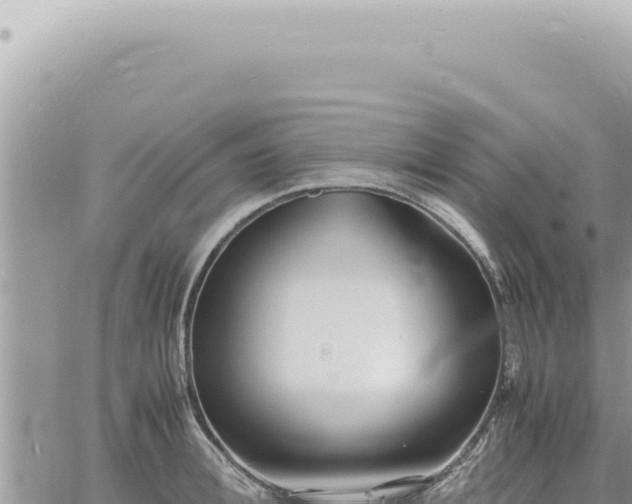 X0000060770996200511171208