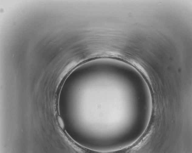 X0000060770997200511171208