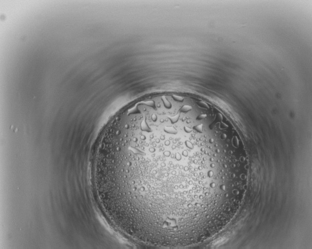 X0000060770998200511171208