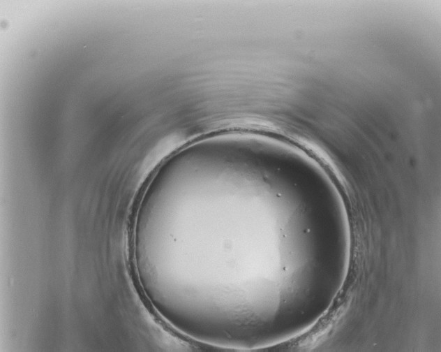 X0000060770999200511171208