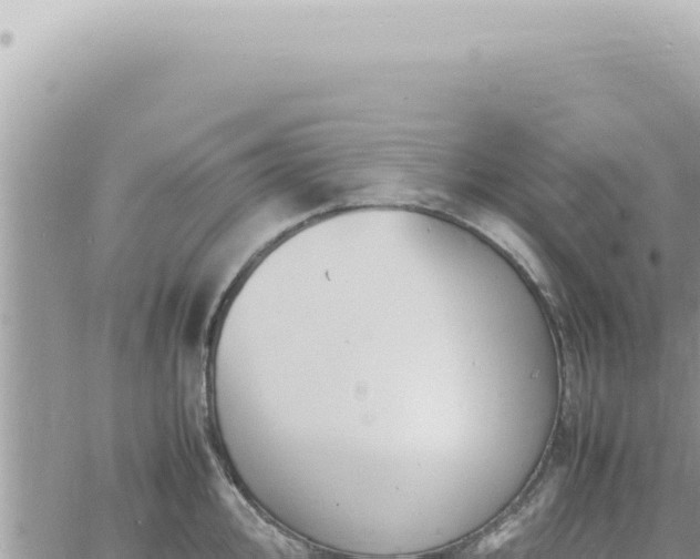 X0000060771000200511171208