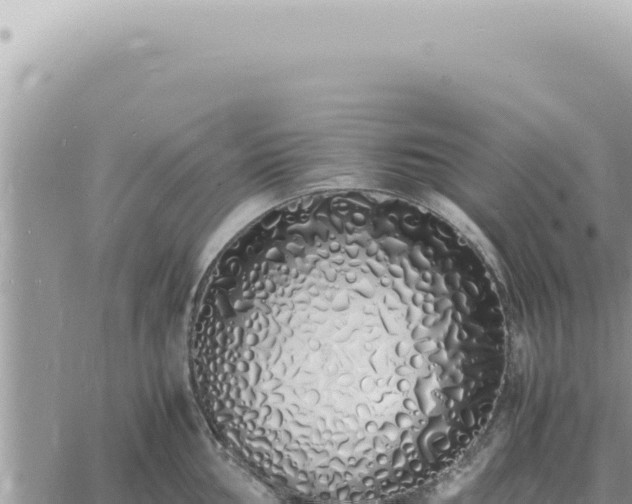 X0000060771002200511171208