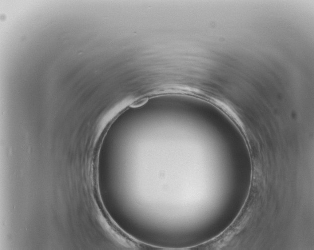 X0000060771003200511171208