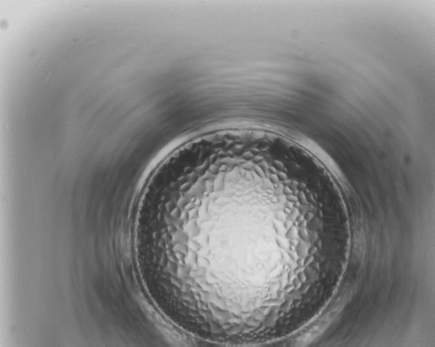 X0000060771004200511171208