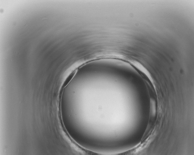 X0000060771005200511171208