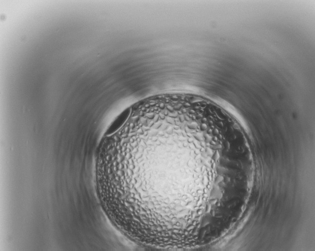 X0000060771006200511171208