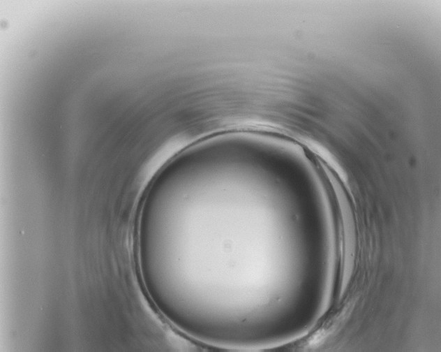 X0000060771007200511171208