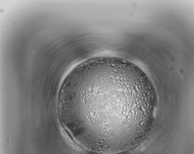 X0000060771008200511171208