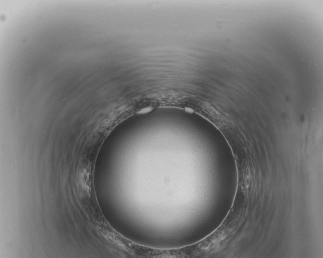 X0000060771010200511171208