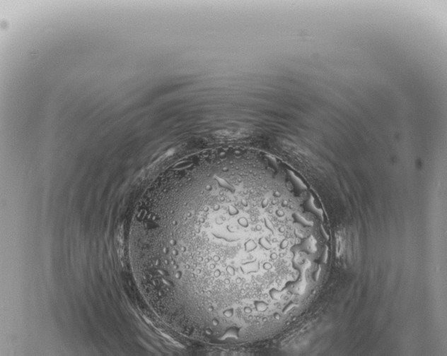 X0000060771011200511171208