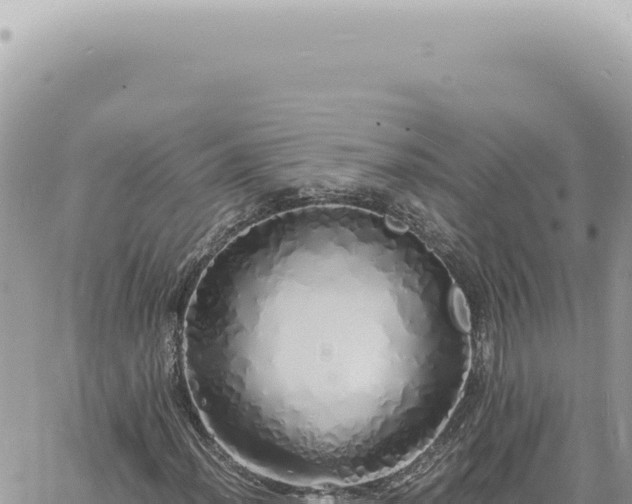 X0000060771012200511171208