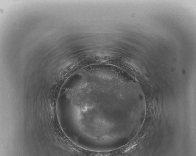 X0000060771013200511171208