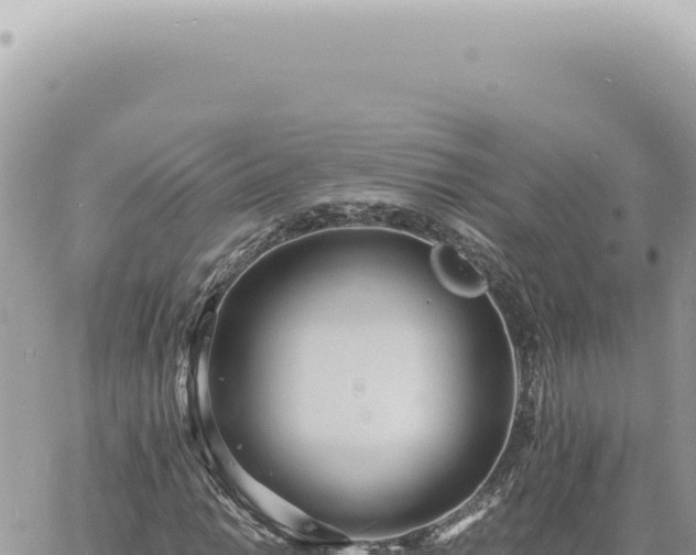 X0000060771014200511171208