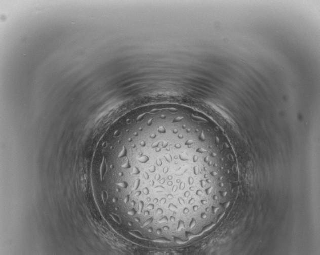 X0000060771015200511171208