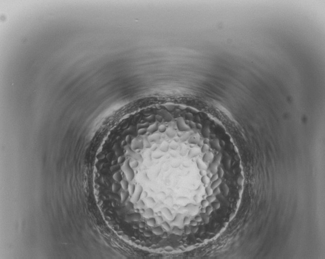 X0000060771016200511171208