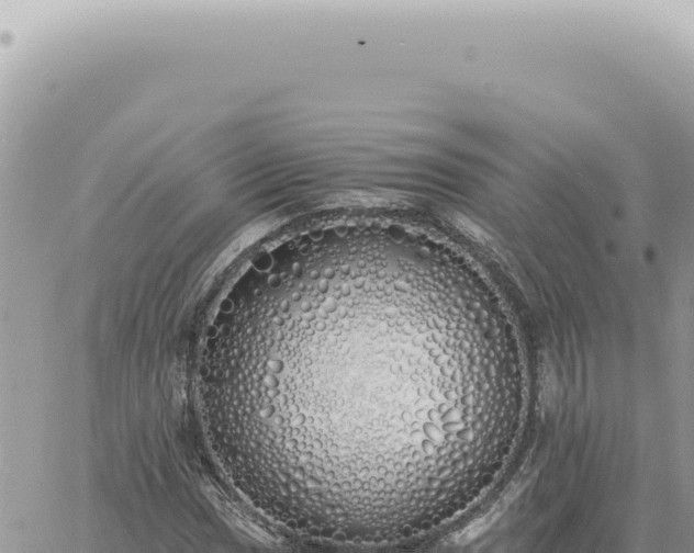 X0000060771017200511171208