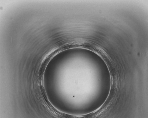 X0000060771018200511171208