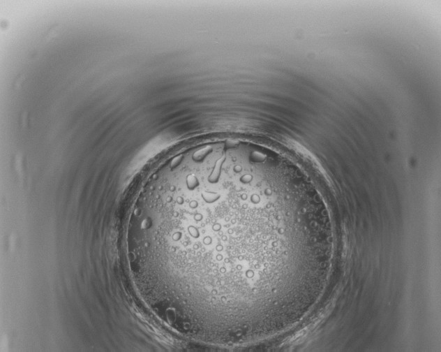 X0000060771019200511171208