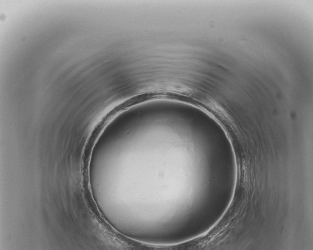 X0000060771020200511171208