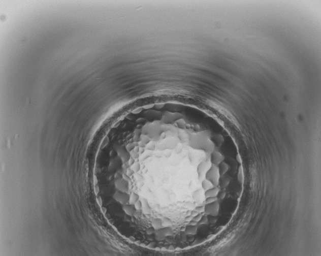 X0000060771021200511171208