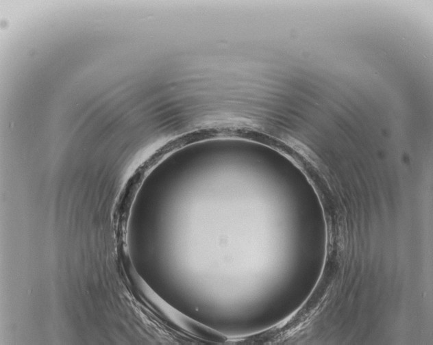 X0000060771022200511171208