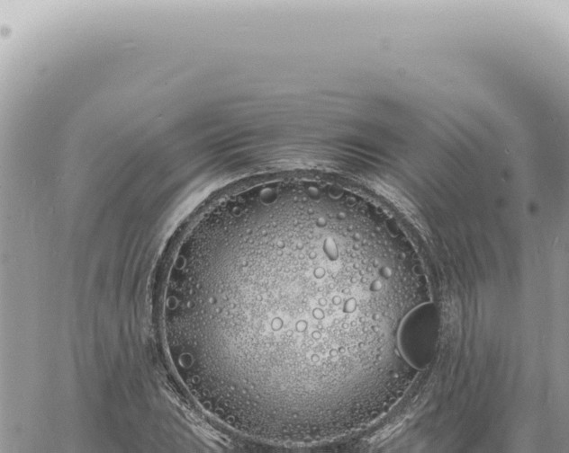 X0000060771023200511171208