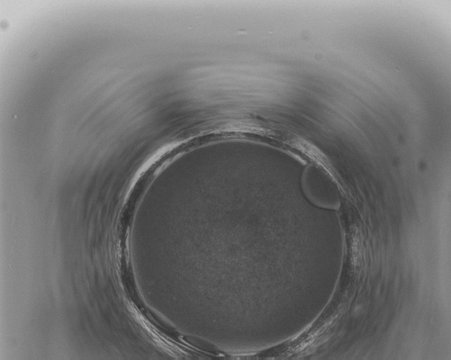 X0000060771024200511171208