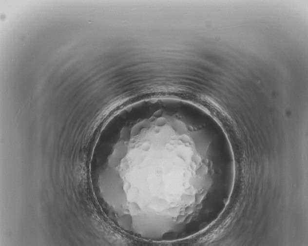 X0000060771025200511171208