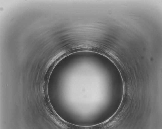 X0000060771026200511171208