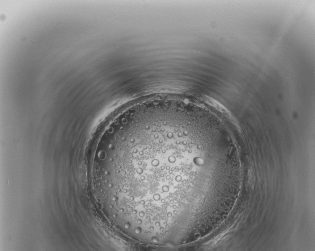 X0000060771027200511171208