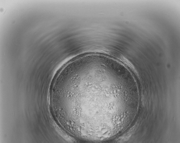 X0000060771028200511171208