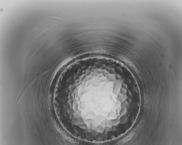 X0000060771029200511171208