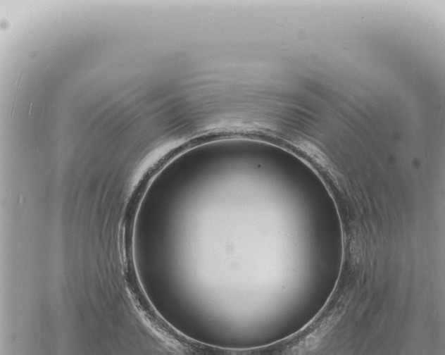 X0000060771030200511171208