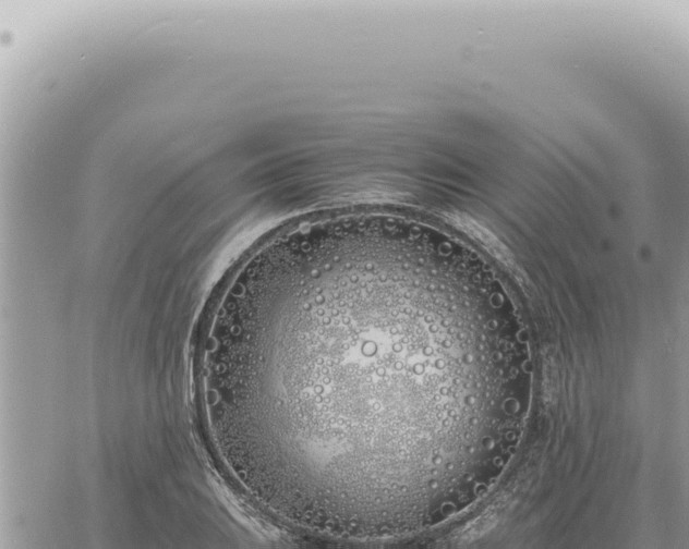 X0000060771031200511171208