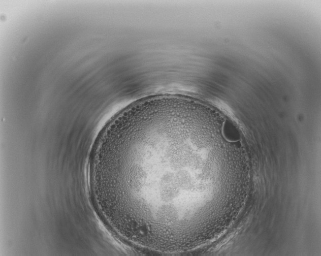 X0000060771032200511171208