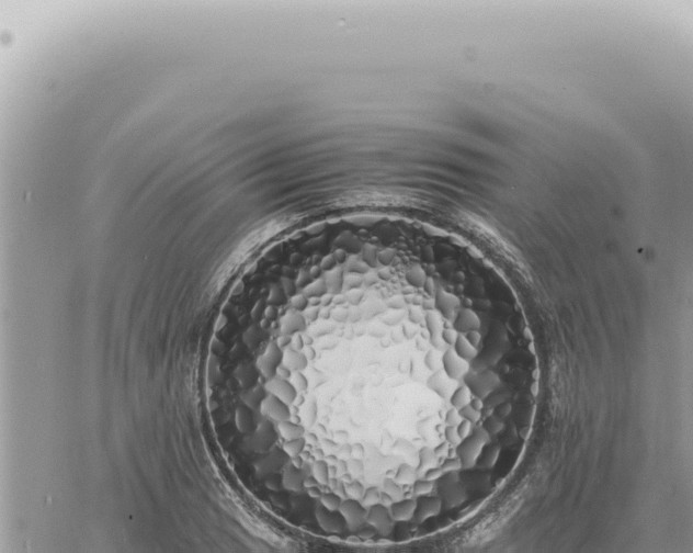 X0000060771033200511171208